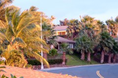 USA-Waikaoa-pic01