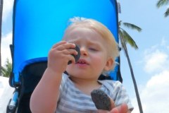 USA-Hawaii-Waimea-Kona-Coast-pic09