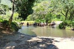 USA-Hawaii-Waipio-Valley-Pic06