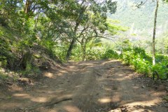 USA-Hawaii-Waipio-Valley-Pic07
