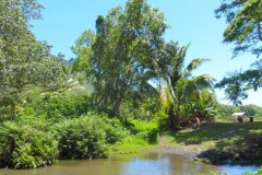 USA-Hawaii-Waipio-Valley-Pic08
