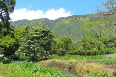 USA-Hawaii-Waipio-Valley-Pic11