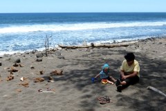 USA-Hawaii-Waipio-Valley-Pic19