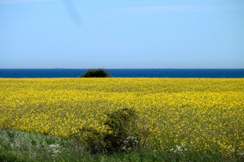 Oeland12