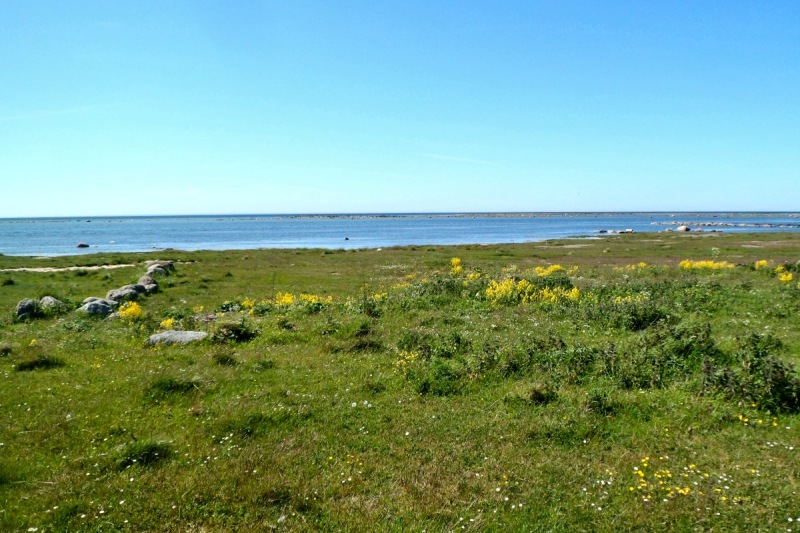 Oeland13