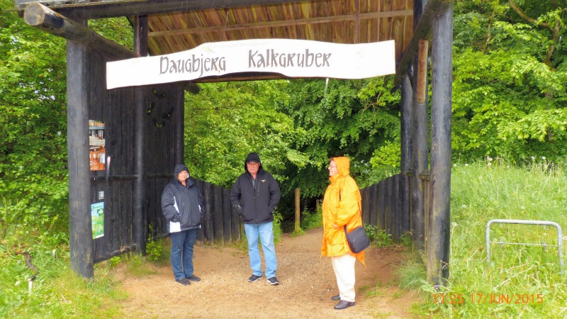 P1040571
