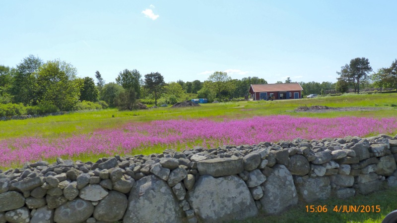 nachOeland06